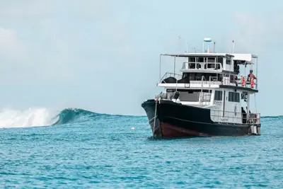 2000 CRUISE BOAT wave hunter 007