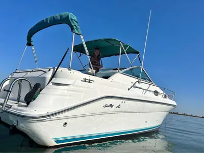 1994 Searay Sundancer 270 with trailer