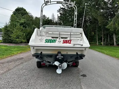 Sea Ray 250 Sundancer Boat with Trailer