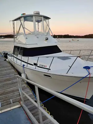 32 ft Bayliner motor yacht 1988