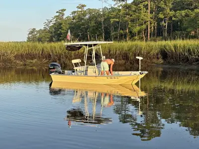 Boston Whaler Montauk 17