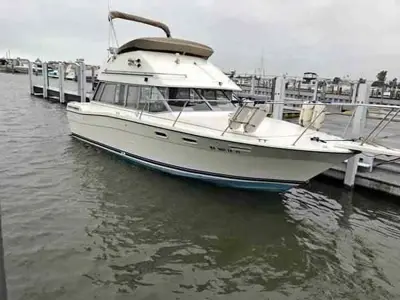 1985 Bayliner Classic contessa 2870