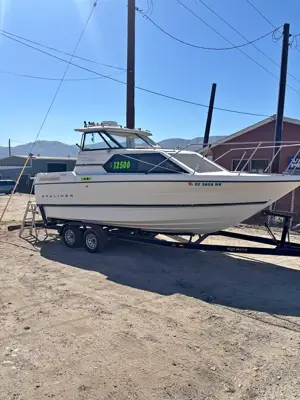 Bayliner 242 1994