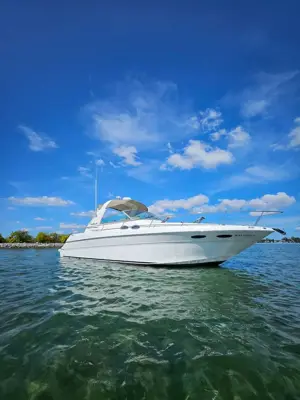 2000 Sea Ray Sundancer 310