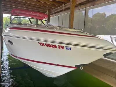 Cobalt boat