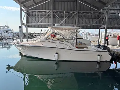 2007 Grady-White Express 305