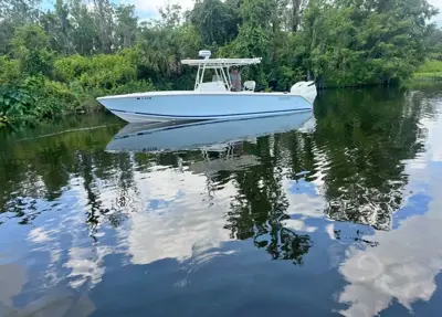 2006 Jupiter 29