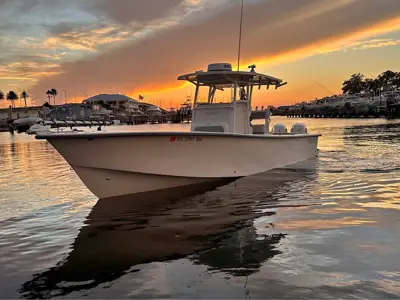 2019 Egret 290