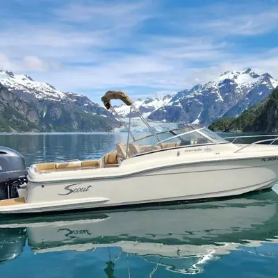 SCOUT 225 DORADO DC