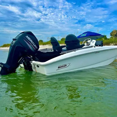 2018 Boston Whaler 150 Supersport