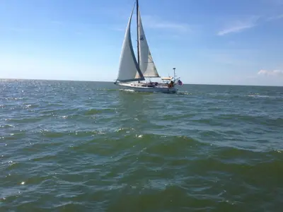 sailboat Catalina 34 WK