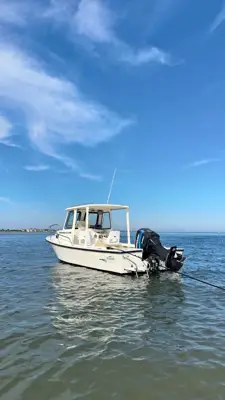 01’ steiger craft chesapeake
