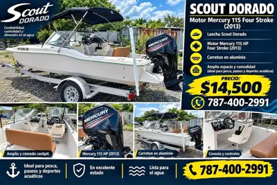 Scout Dorado