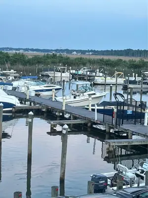1990 252 Grady White sailfish