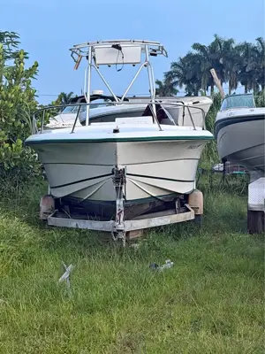 Angler 23ft título en Mano