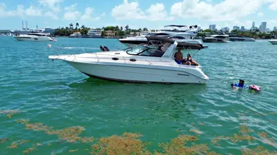 2000 Searay Sundancer 310