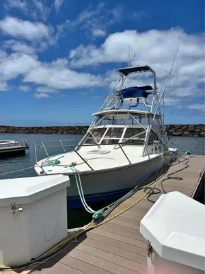 28' Carolina Classic Flybridge Fishing Boat