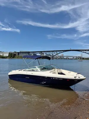 2006 Sea Ray 200 select