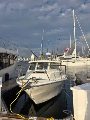 1999 skagit orca 24sc