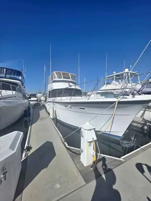 1978 Hatteras C46