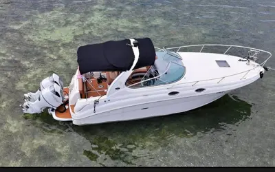 Sea Ray Boat