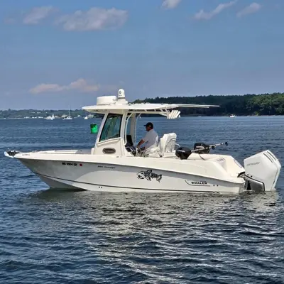 2014 Boston Whaler 250 outrage