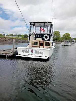 29 ft blackfin
