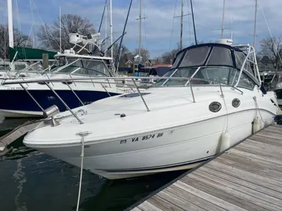 SEA RAY AMBERJACK