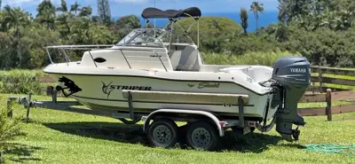 1851 Seaswirl Striper WA