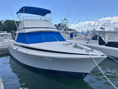 1970 Bertram 35 sport fish