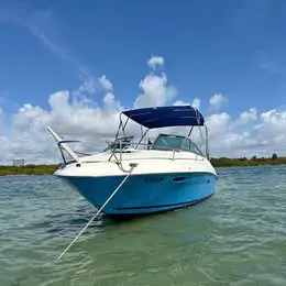 1998 Sea Ray Express Cruiser 215