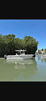 2008 Grady white 283
