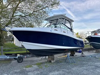 2016 Robalo r305