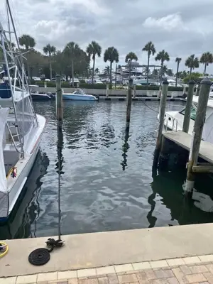 2 BOAT SLIPS. PEANUT ISLAND 15 minutes Price per slip Live aboard BOAT SLIP!! For sale