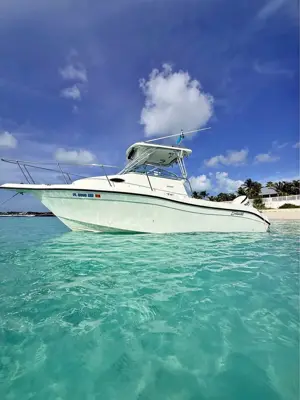 1999 seaswirl striper 2300
