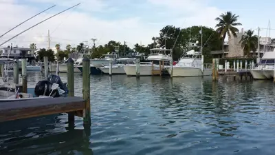 Caloosa Cove Resort & Marina
