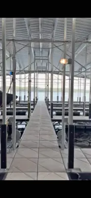 14X40 Boat Slips for Lease - 3MM Gravois Arm, Lake of the Ozarks