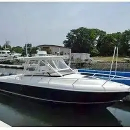 2006 Intrepid 310 Walkaround