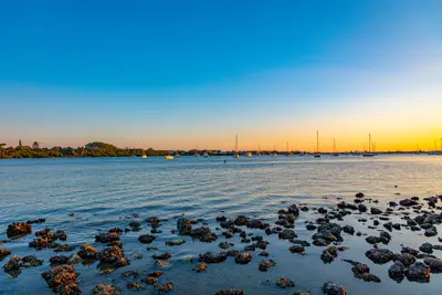Sarasota Bay Mooring Field