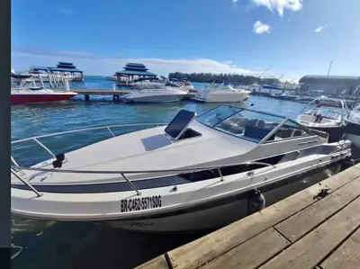 Chris craft 27 pies