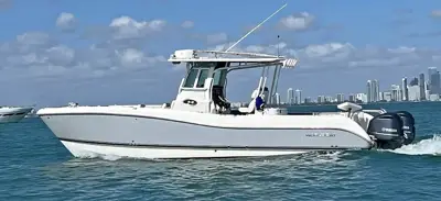 2020 Worldcat 325cc