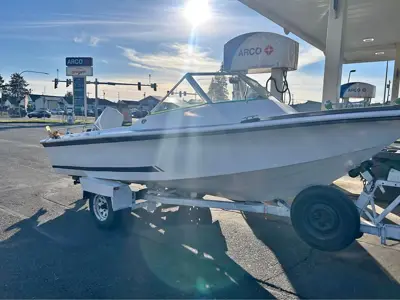 Force 85 HP Boat with Trailer