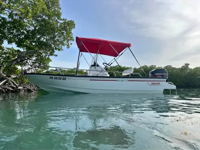1996 Boston Whaler Dauntles 15’ Dauntles
