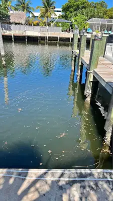 Dock Space for Boat Miami