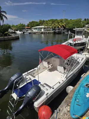 FOR SALE: 2019 World Cat