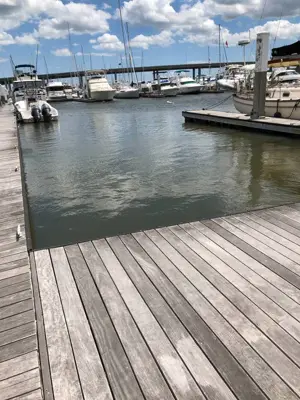 BOAT SLIP FOR RENT (THE HARBORAGE AT ASHLEY MARINA)
