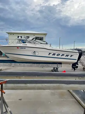 20 ft trophy new motor