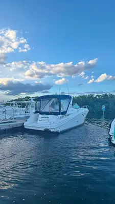 2009 SeaRay Sundancer 310
