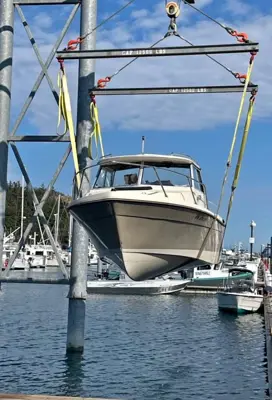 1984 Bayliner trophy