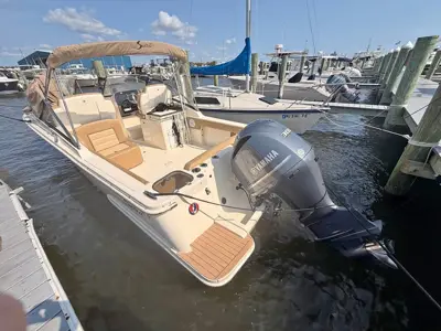 2020 Scout 255 dorado